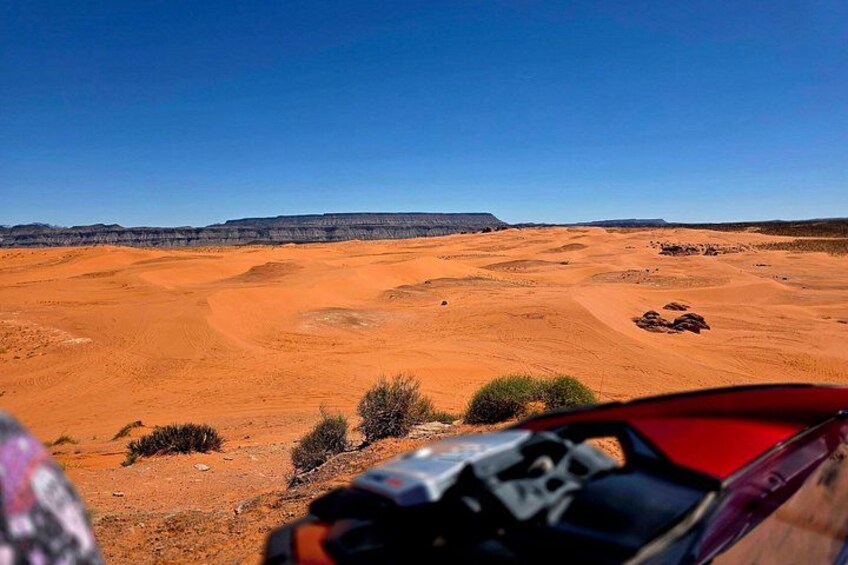 A desert landscape with red sand dunes and sparse vegetation. 3