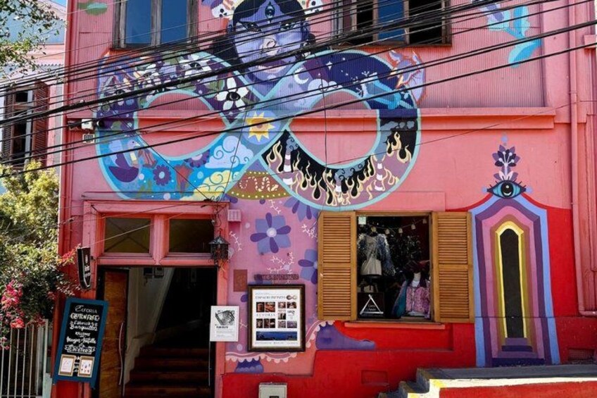 Premium Valparaiso and Vina del Mar Tour from Santiago 4
