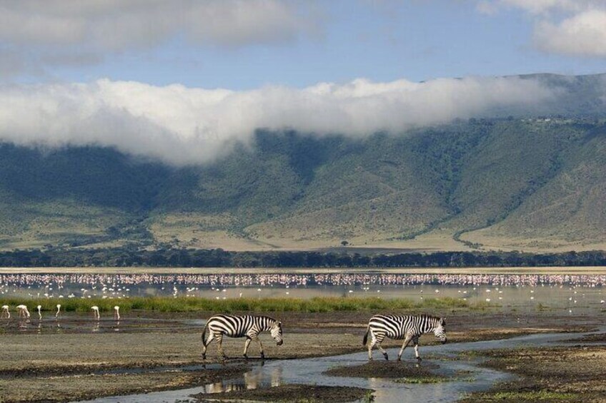 Full day Game Drive at Ngorongoro Crater 4