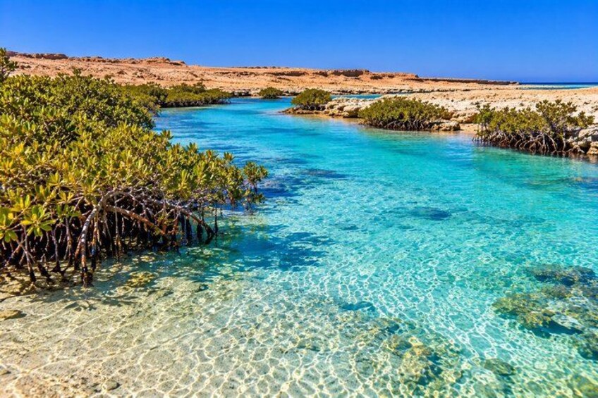 Ras Mohammed National Park Day Trip by Bus 2