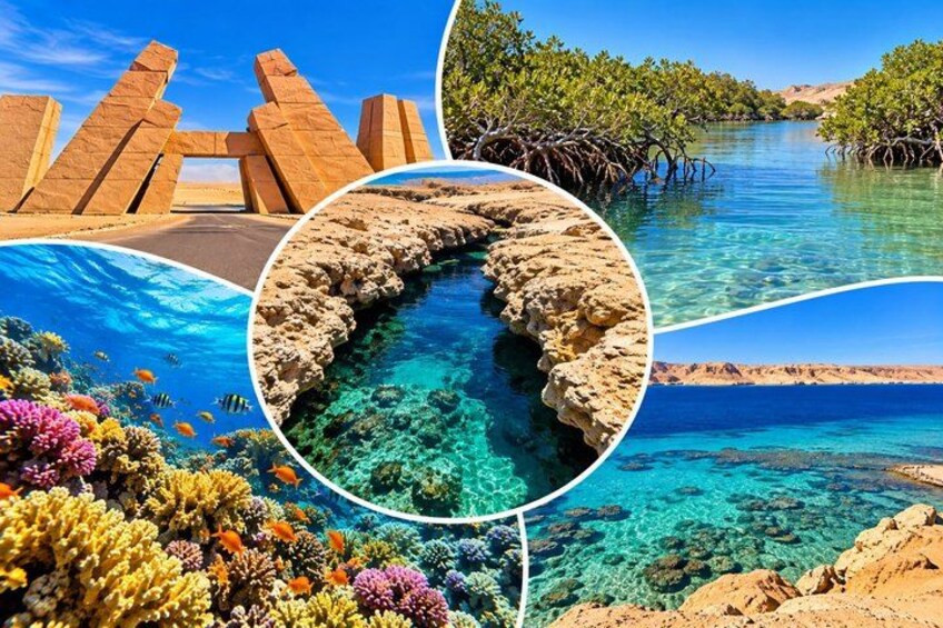 Ras Mohammed National Park Day Trip by Bus 1