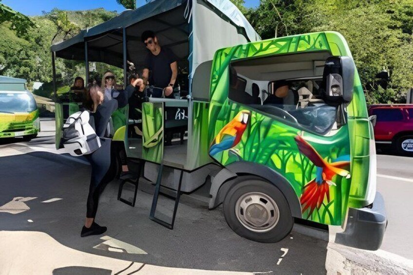 A green food truck with colorful bird designs parked on the side of a road. 4