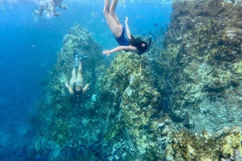Island Snorkel Adventure 2