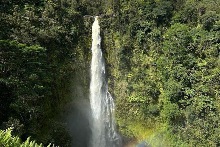 A waterfall surrounded by dense forest. 2
