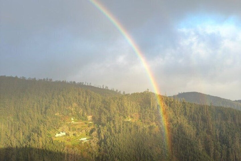 Een bebost landschap met een regenboog. 2