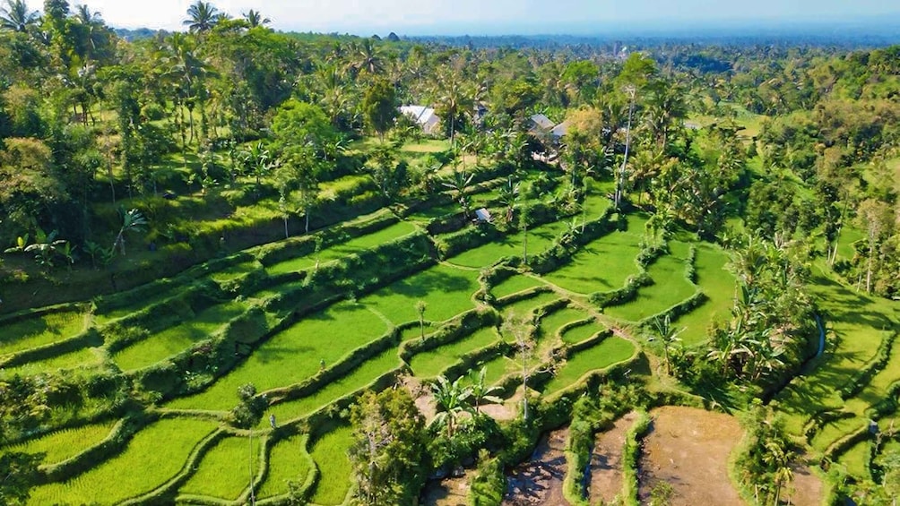 Picture 16 for Activity Lombok : Tetebatu village Walking Tour 2