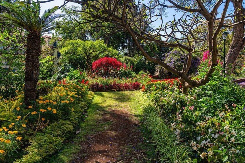 A garden path surrounded by lush greenery and colorful flowers. 3