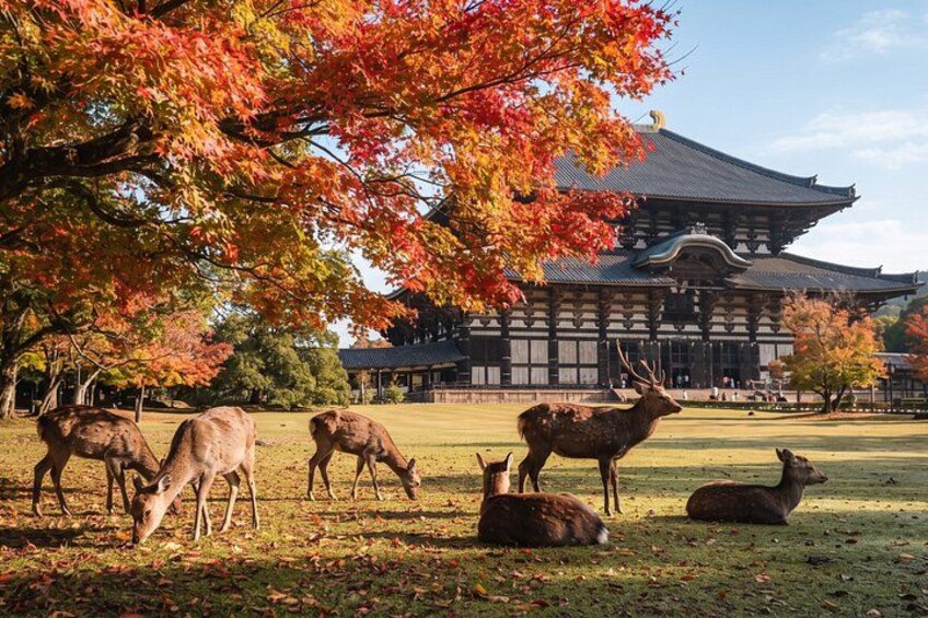A traditional building with a tiled roof, surrounded by a grassy area with deer. 1