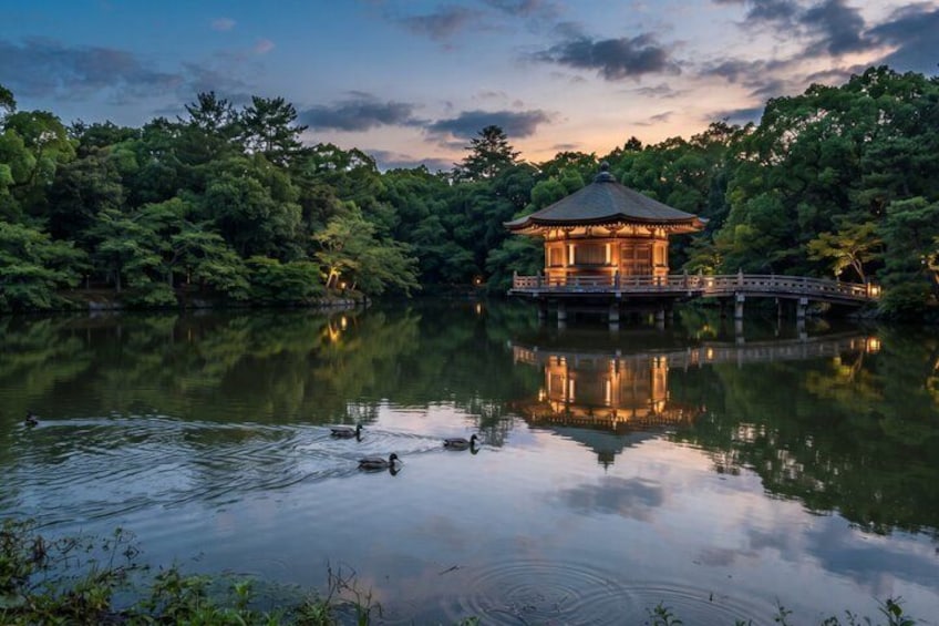 Nara Private Tour: Great Buddha, Park Deer & World Heritage 2