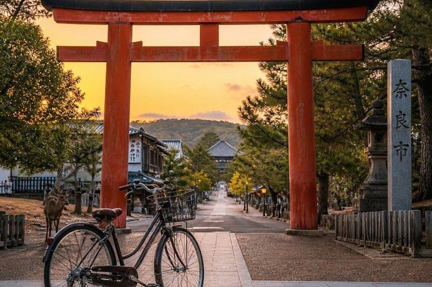 Nara City Private Bike Tour Experience 2