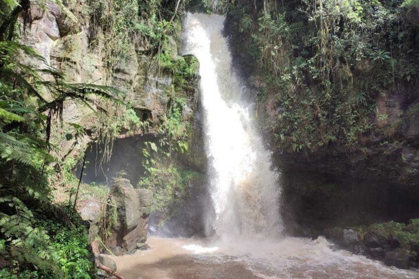 Ein Wasserfall, umgeben von dichtem Grün. 1