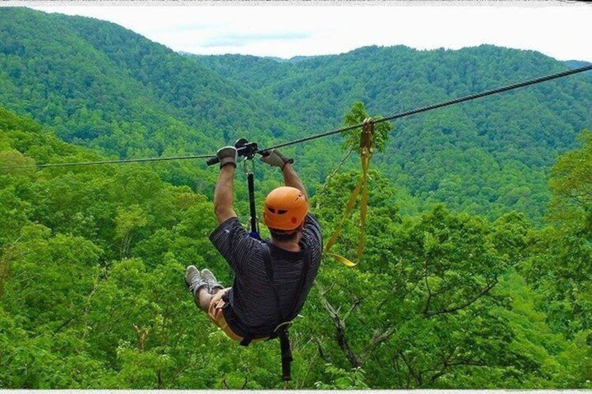Eine Person zipline durch bewaldetes Gelände, im Hintergrund sind Berge zu sehen. 4