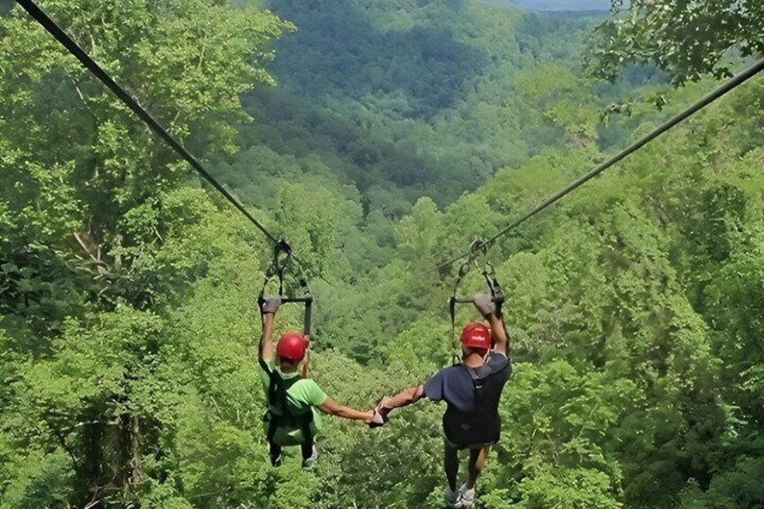 Zwei Personen fahren mit einer Zipline durch ein bewaldetes Gebiet. 5