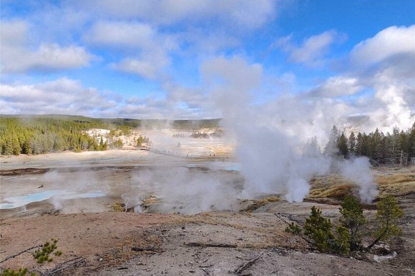 12 VIP Group Yellowstone Classic 3-Day Tour Bozeman Round-Trip 5