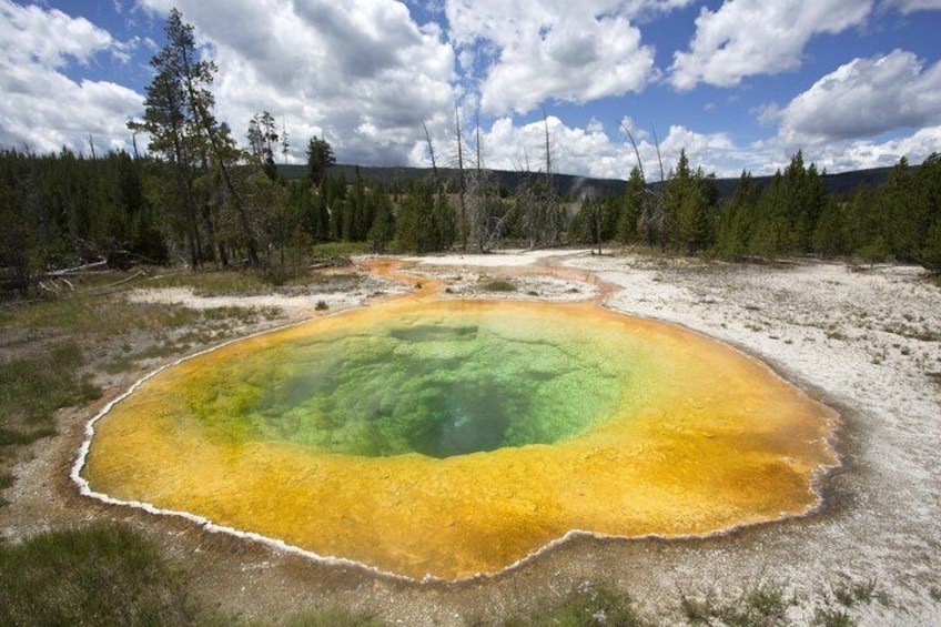 A geothermal hot spring with a yellow and green gradient, surrounded by a forested area. 5