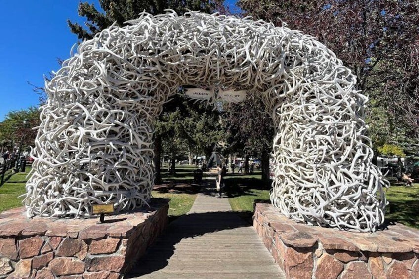 A large archway made of intertwined branches, leading to a park pathway. 3