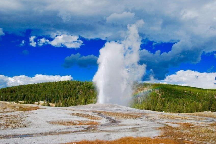 A geyser erupting with a forested hill in the background. 3