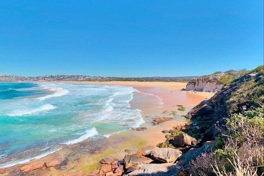Private Nature Tour in Sydney 5