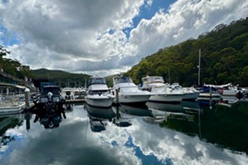 Private Nature Tour in Sydney 4