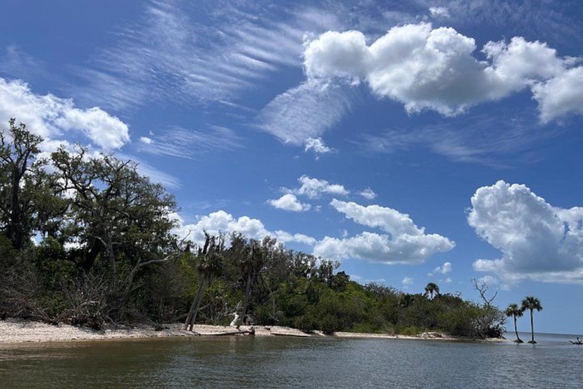 Crystal River Sandbar Escape Island Adventure Gulf of America 2