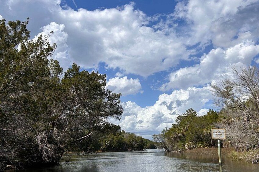 Crystal River Sandbar Escape Island Adventure Gulf of America 3