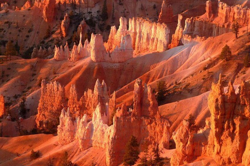 Yellowstone 5-Day Group Tour from Los Angeles 5
