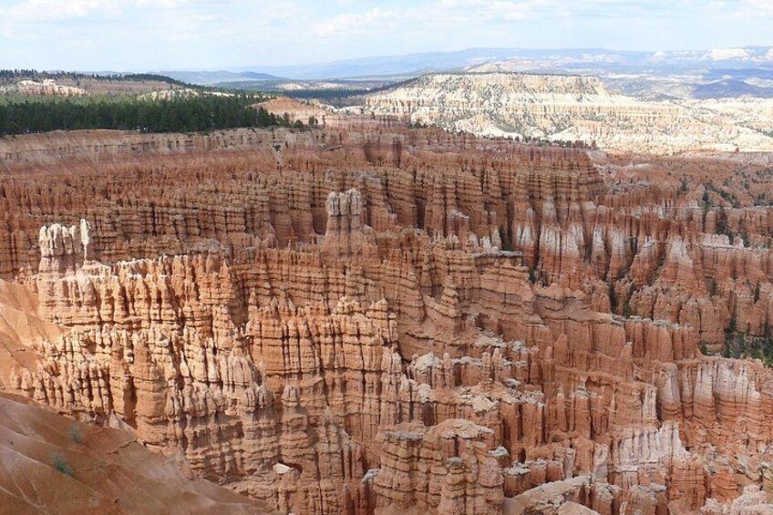 Yellowstone 5-Day Group Tour from Los Angeles 4