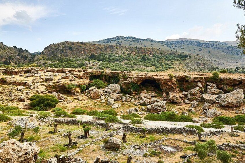 A rocky landscape with scattered vegetation and a prominent cave entrance. 5