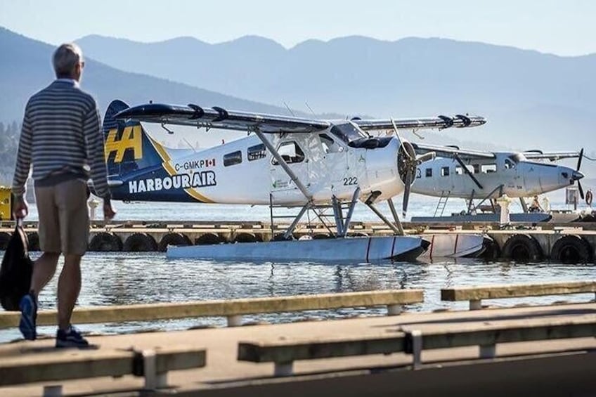 Un hidroavión atracado en un muelle con montañas al fondo. 1