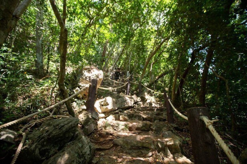 Sendero boscoso para excursionismo con escalones de madera y barandillas de cuerda. 3
