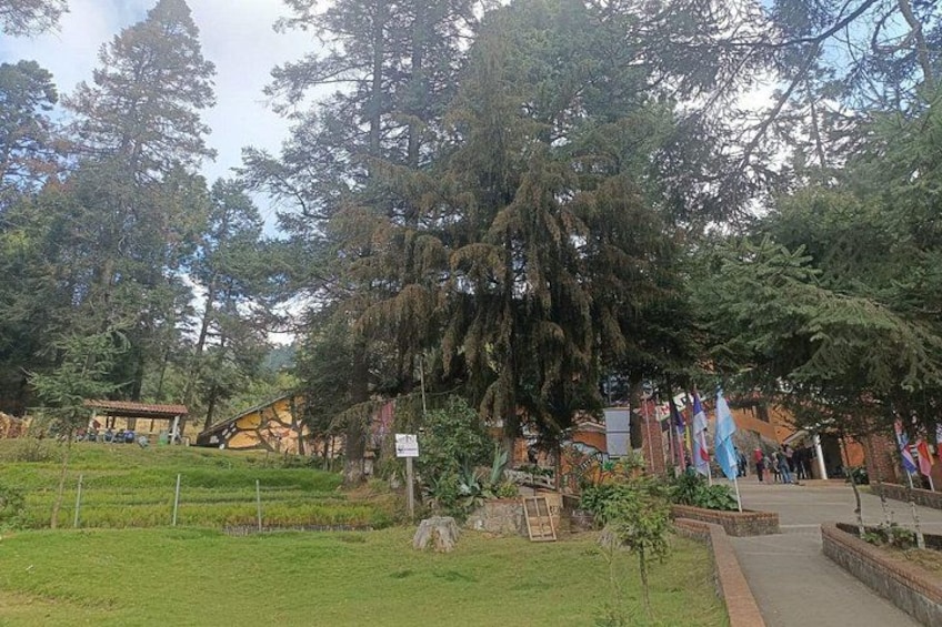 Un parc avec un grand arbre, un bâtiment et des drapeaux. 4