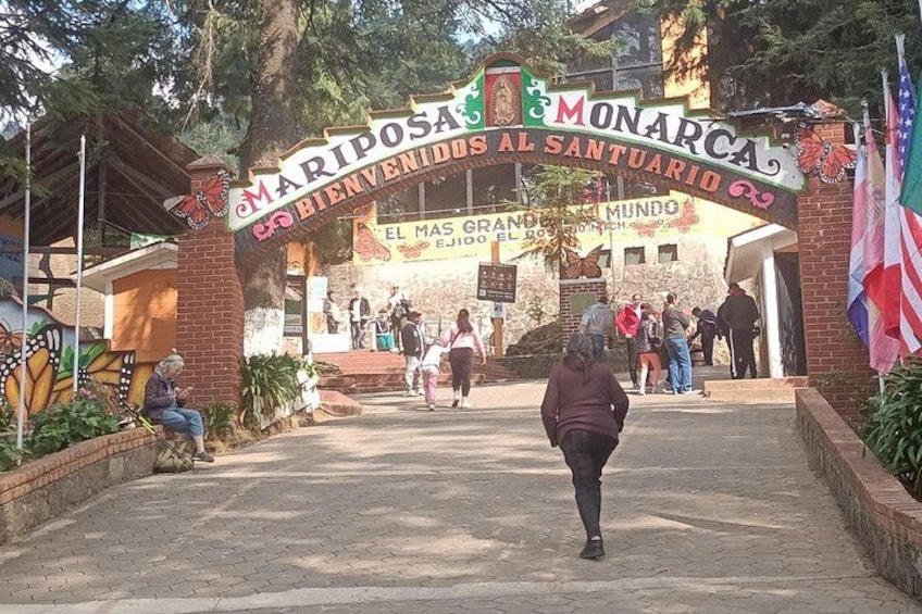Une arche accueillante sur laquelle on peut lire : « Mariposas Monarca, bienvenue au sanctuaire », ainsi qu’une fresque représentant des papillons. 2