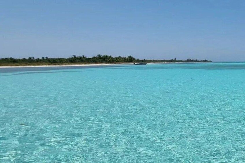 Un mar turquesa transparente con una playa de arena y una hilera de palmeras a lo lejos. 5