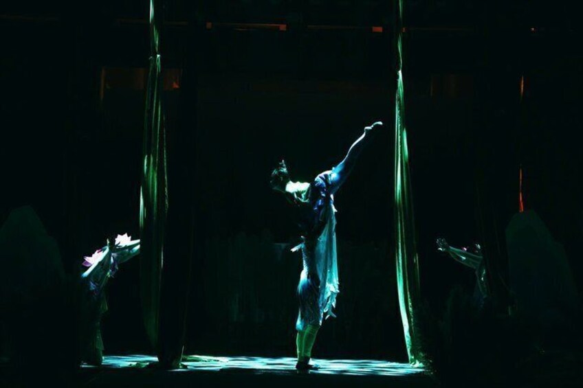 A person performing an aerial act with a trapeze. 5