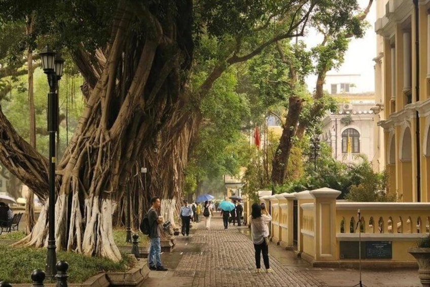Una calle empedrada bordeada de árboles, con peatones, un farol y un edificio de arquitectura clásica. 5
