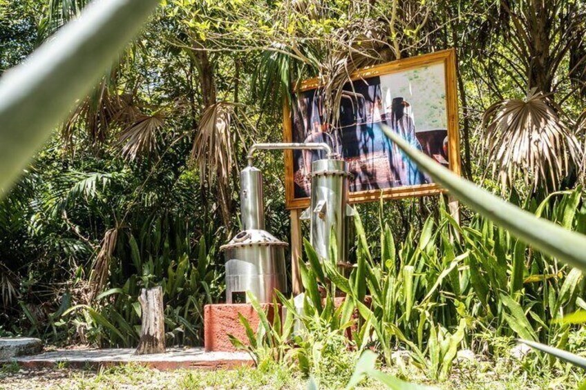 Un jardín con una escultura de metal, un cuadro enmarco y abundante vegetación. 5
