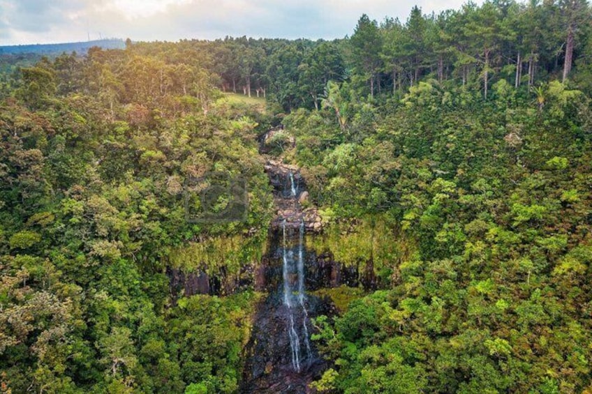 Ein Wasserfall in dichtem Wald. 1