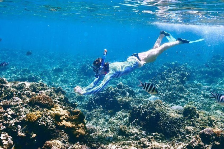 Iemand snorkelt onder water tussen koraalriffen en vissen. 3