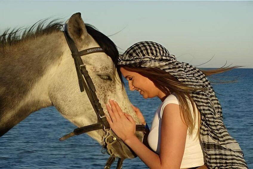 2 Hour Horse or Camel Riding in Marsa Alam Beach and Desert 2