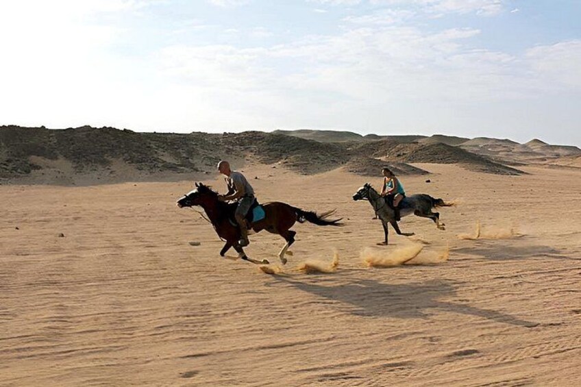 2 Hour Horse or Camel Riding in Marsa Alam Beach and Desert 3