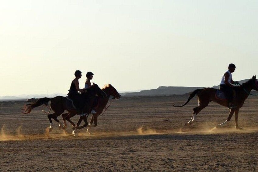 2 Hour Horse or Camel Riding in Marsa Alam Beach and Desert 5