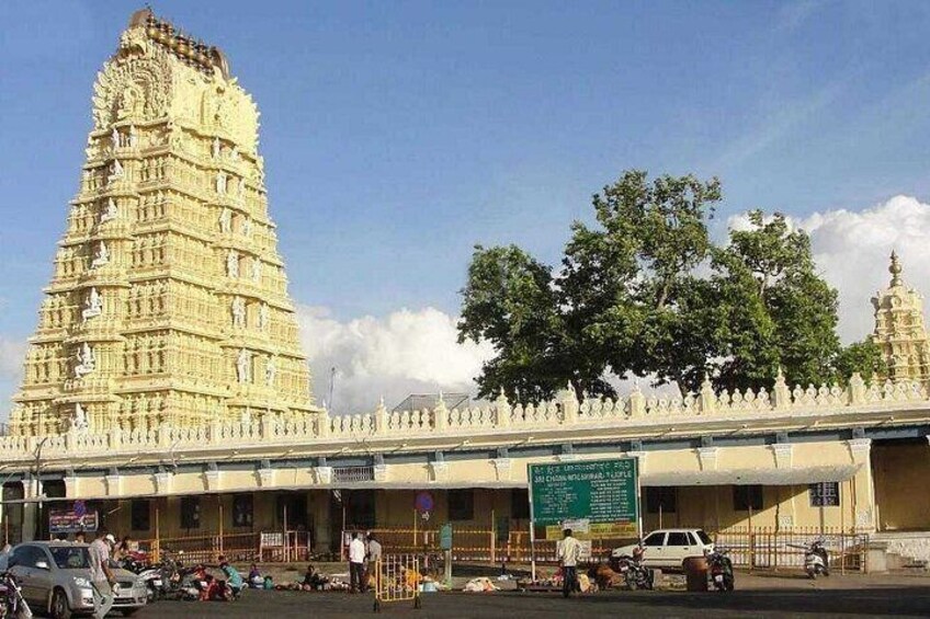 Mysore’s Best in a Day Private Sightseeing From Bangalore 5
