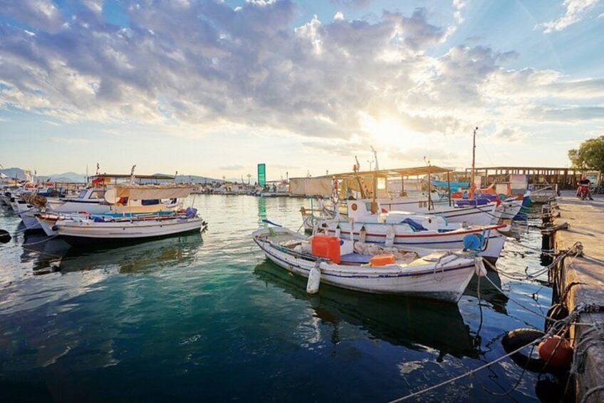 Moni and Agistri Half Day Small Group Cruise from Aegina 5