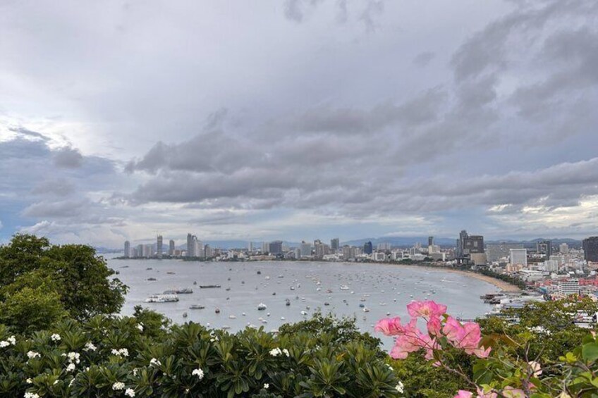 Un paisaje urbano costero con un puerto deportivo, barcos y un horizonte urbano denso. 5