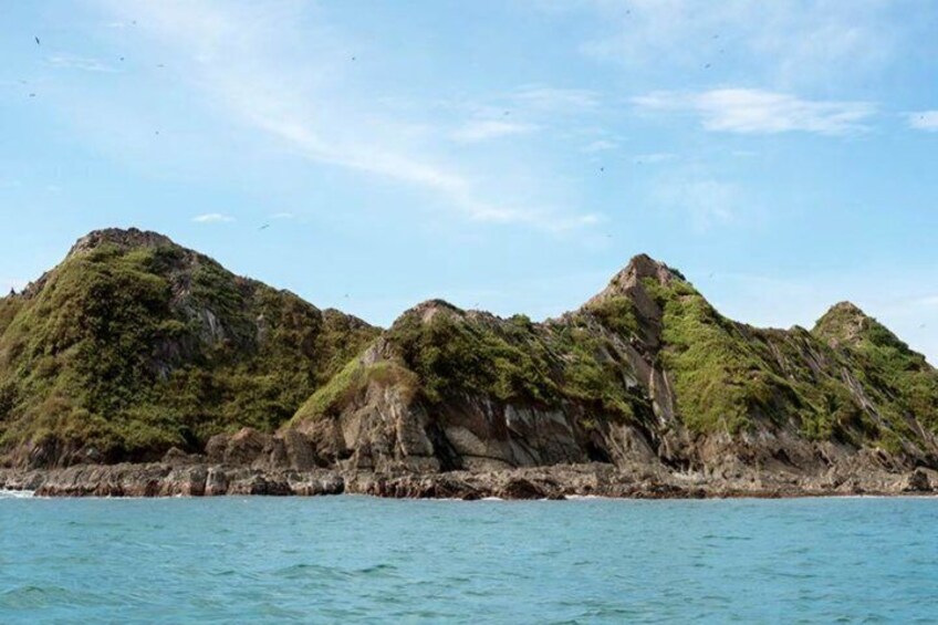 Whale Watching Tour, Dolphins & Snorkeling – Uvita, Costa Rica 4