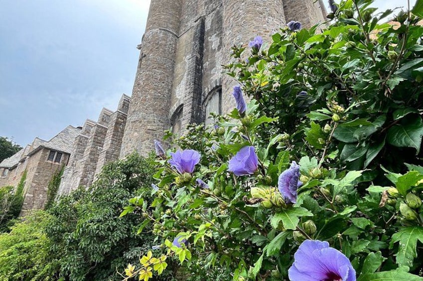 Un edificio histórico de piedra con ventanas amplias y un jardín con flores moradas. 2