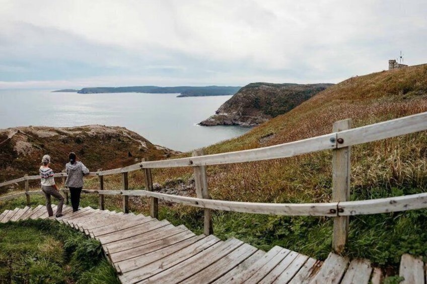 Une promenade en bois, dotée d’une rambarde, qui mène à un point de vue sur la côte, avec un phare visible au loin. 3