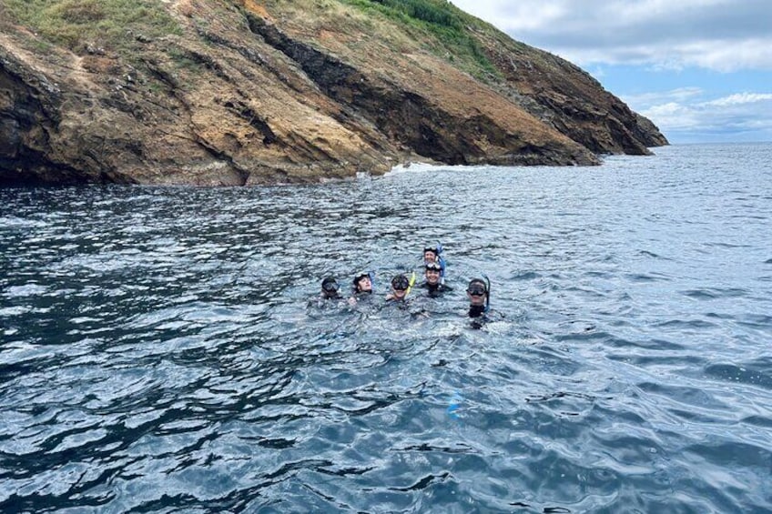 Eine Gruppe von Menschen schnorchelt im Meer in der Nähe einer felsigen Küste. 1