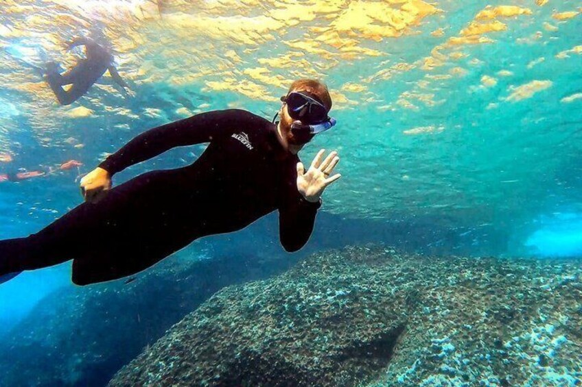 Eine Person taucht unter Wasser mit felsigem Meeresboden und sichtbarer Meeresflora und -fauna. 4