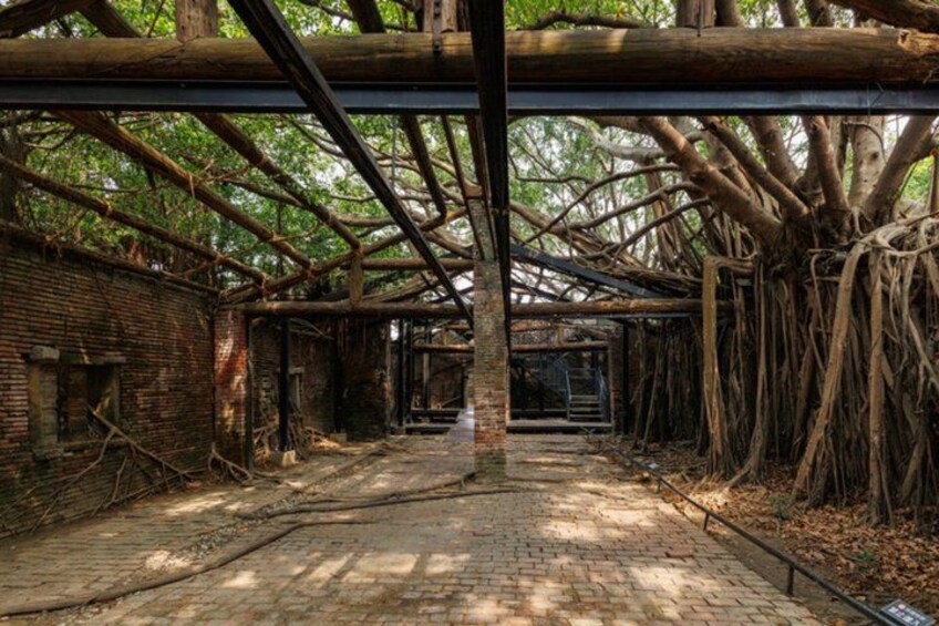 An abandoned building with exposed brick walls, wooden beams, and overgrown vegetation. 2